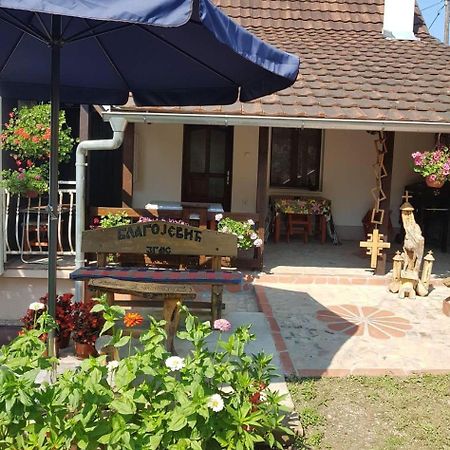 Skriveni Raj Apartment Vrdnik Phòng bức ảnh
