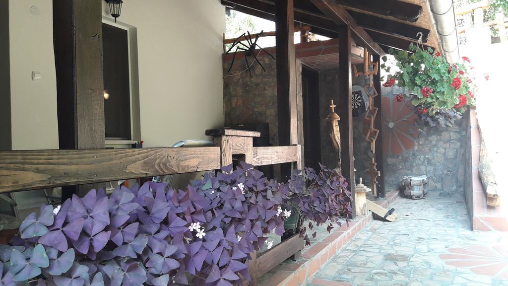 Skriveni Raj Apartment Vrdnik Phòng bức ảnh