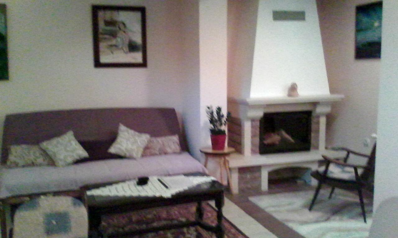 Skriveni Raj Apartment Vrdnik Ngoại thất bức ảnh
