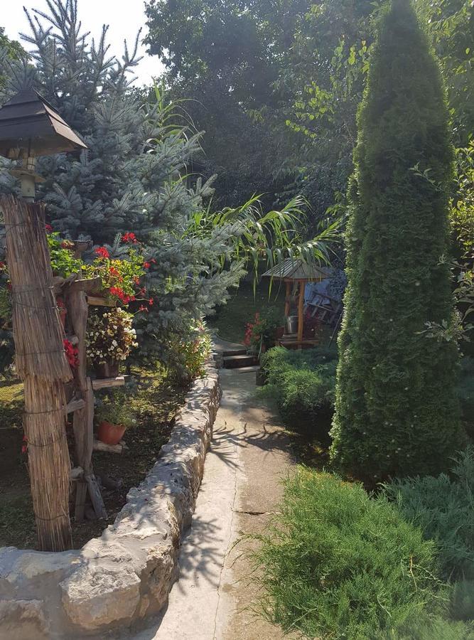 Skriveni Raj Apartment Vrdnik Phòng bức ảnh