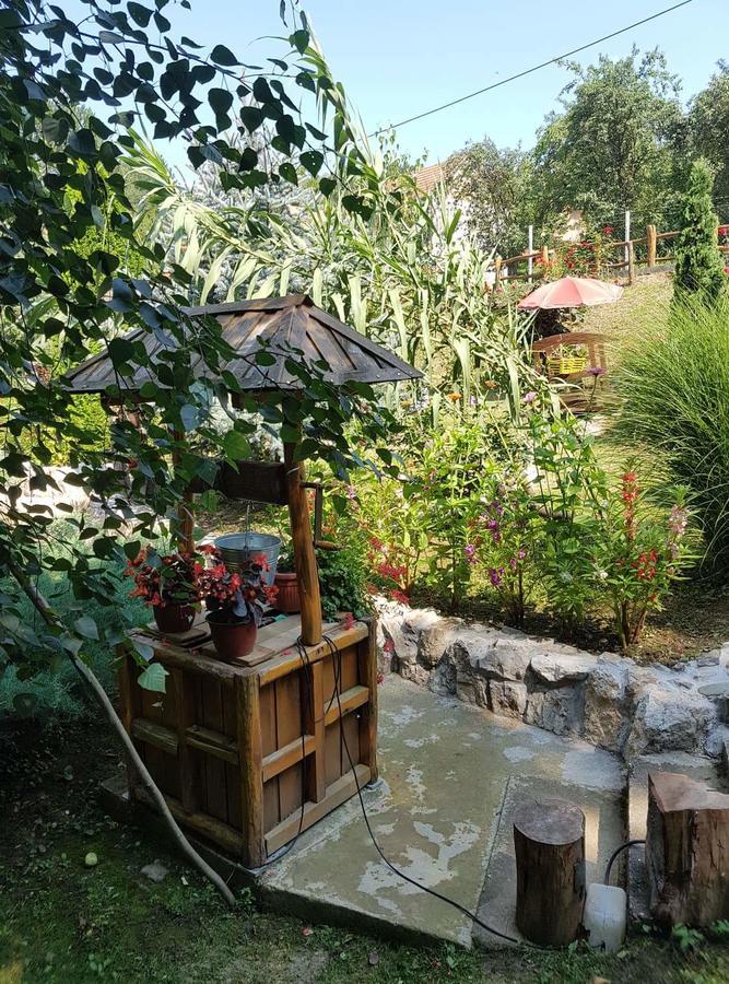Skriveni Raj Apartment Vrdnik Ngoại thất bức ảnh