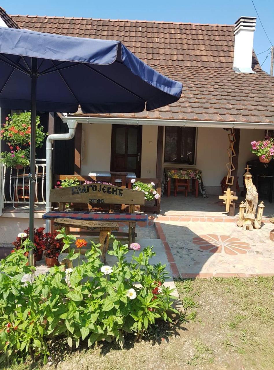 Skriveni Raj Apartment Vrdnik Phòng bức ảnh